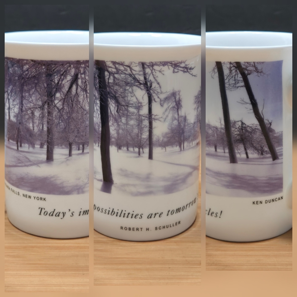 Niagara Falls Winter Ken Duncan for House of Power Robert Schuller quote mug